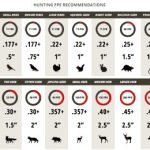 muzzle energy recommendations for airgun hunting