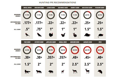 muzzle energy recommendations for airgun hunting