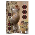 Birchwood Casey squirrel target